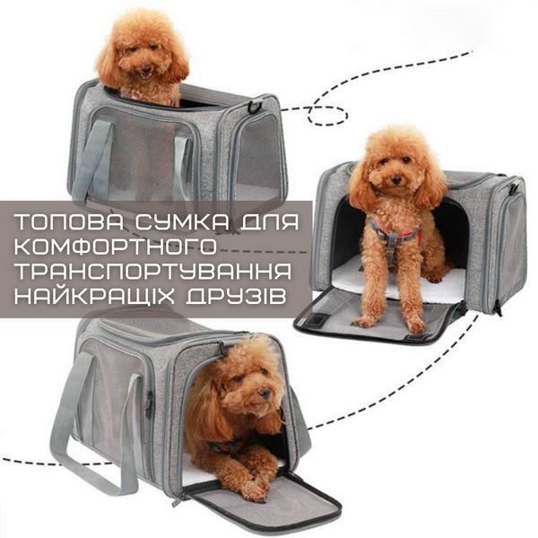 Сумка Переноска Для кота Складана з Прозорими Стінками та Кріпленнями Сумка Для Домашніх Животних до 7 кг Сумка Переноска RW19 фото