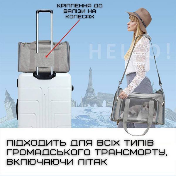 Сумка Переноска Для кота Складана з Прозорими Стінками та Кріпленнями Сумка Для Домашніх Животних до 7 кг Сумка Переноска RW19 фото