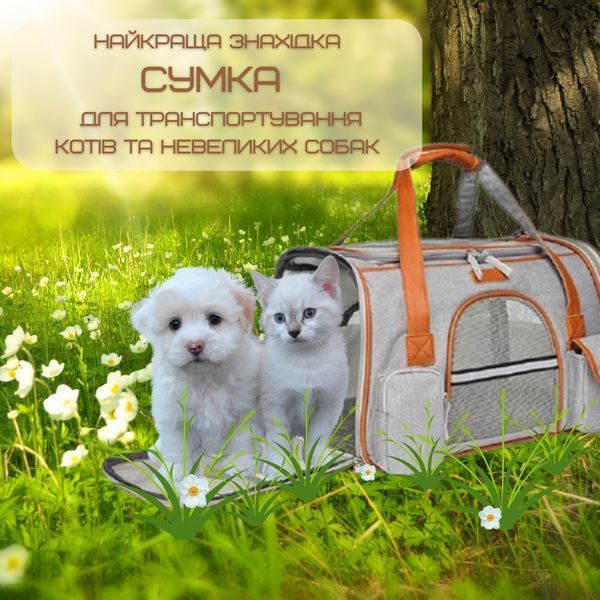 Сумка Переноска Для Кота Складная Сумка Для Домашних Животных с Прозрачными Стенками и Креплениями к Чемодану RW17 фото