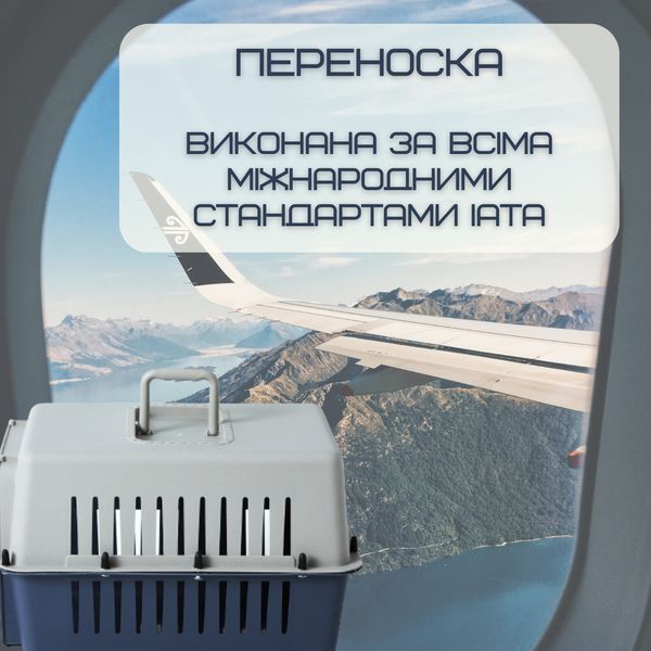 Контейнер Для Авиа Перевозок Животных Переноска Для Кошек и Собак с Металлическими Креплениями и Дверью + ТРК-002 фото