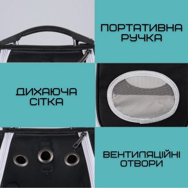 Повітропроникна Сумка-Переноска Для Кішок і Маленьких Собак Рюкзак з Прозорими Стінками Для Животних До 7 ZM-B01 фото