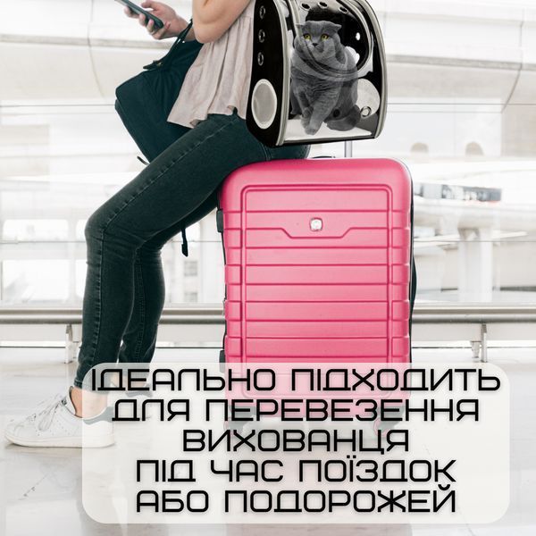 Повітропроникна Сумка-Переноска Для Кішок і Маленьких Собак Рюкзак з Прозорими Стінками Для Животних До 7 ZM-B01 фото