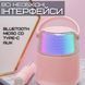 Портативная Детская Мини Караоке Система Для Дома Блютуз Колонка с Беспроводным Микрофоном и LED Подсветкой У1 У1 фото 8