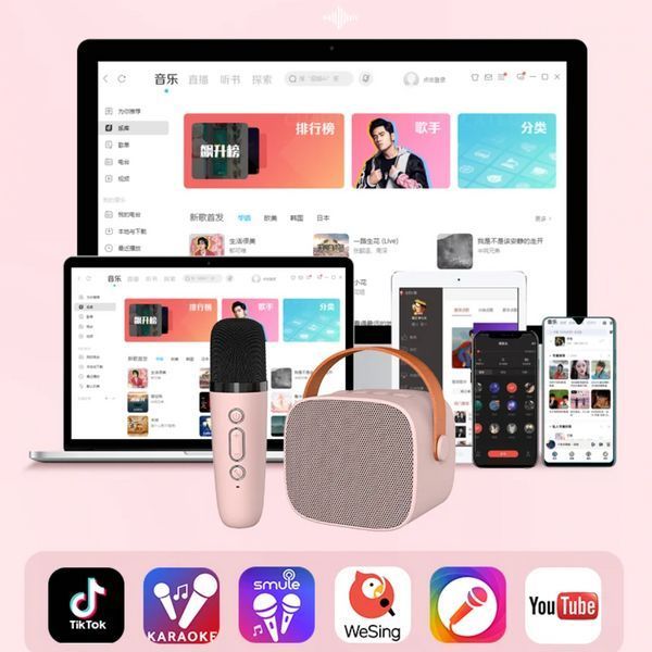 Дитяча Бездротова Караоке Система Портативна Bluetooth Колонка + Мікрофон із функцією Зміни Голосу Р2 P2 фото