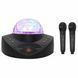 Бездротова Караоке Система Для Дому SDRD Портативна Блютуз Колонка на Два Мікрофони з LED Диско Шаром SD308 Караоке Система SD308 фото 2